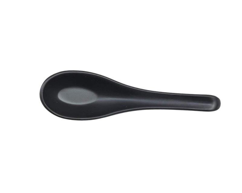 Persian Spoon