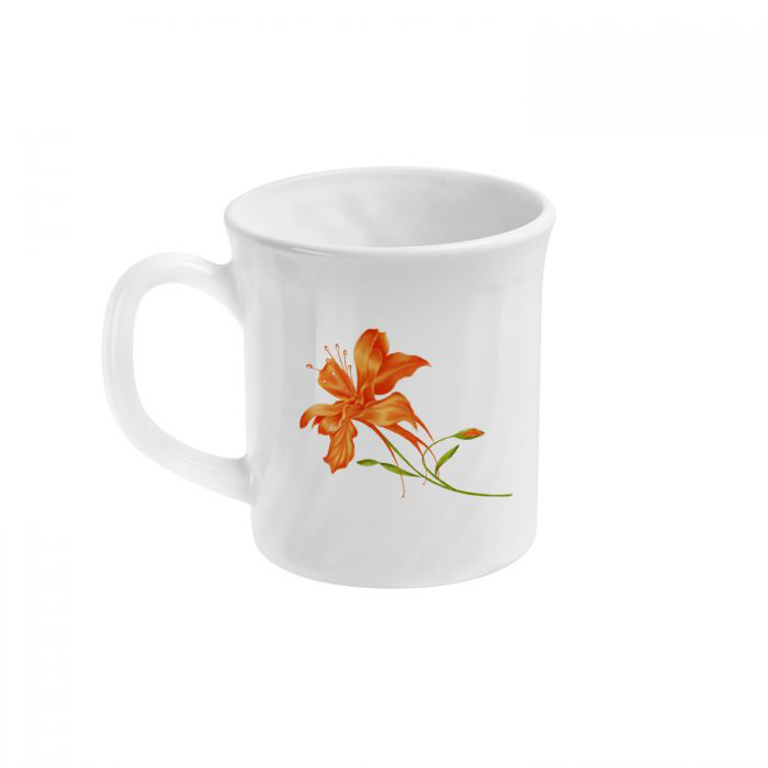 Magna Orange Lilly